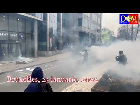 Proteste Belgia - 23 ianuarie, 2022