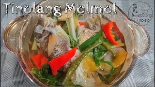 Tinolang Molmol Fish Tinola Parrotfish Recipe