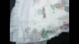 DSCF3256