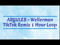 ARGULES - Wellerman Sea Shanty TikTok Remix 1 Hour Loop