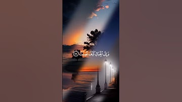 أفلا ينظرون إلى الإبل كيف خلقت القارئ عبدالرحمن مسعد #راحة_نفسية