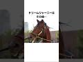 ドリームジャーニーの面白い雑学#競馬 #shorts