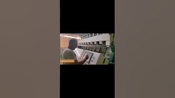 Sensor-based optical Sorter  Agriculture Products SortingChickpeas