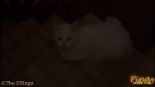 Playtime with Auntie — While Mom Takes a Break