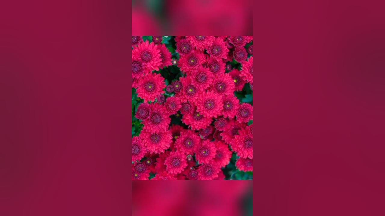 rare-colours-you-probably-never-heard-of-youtube