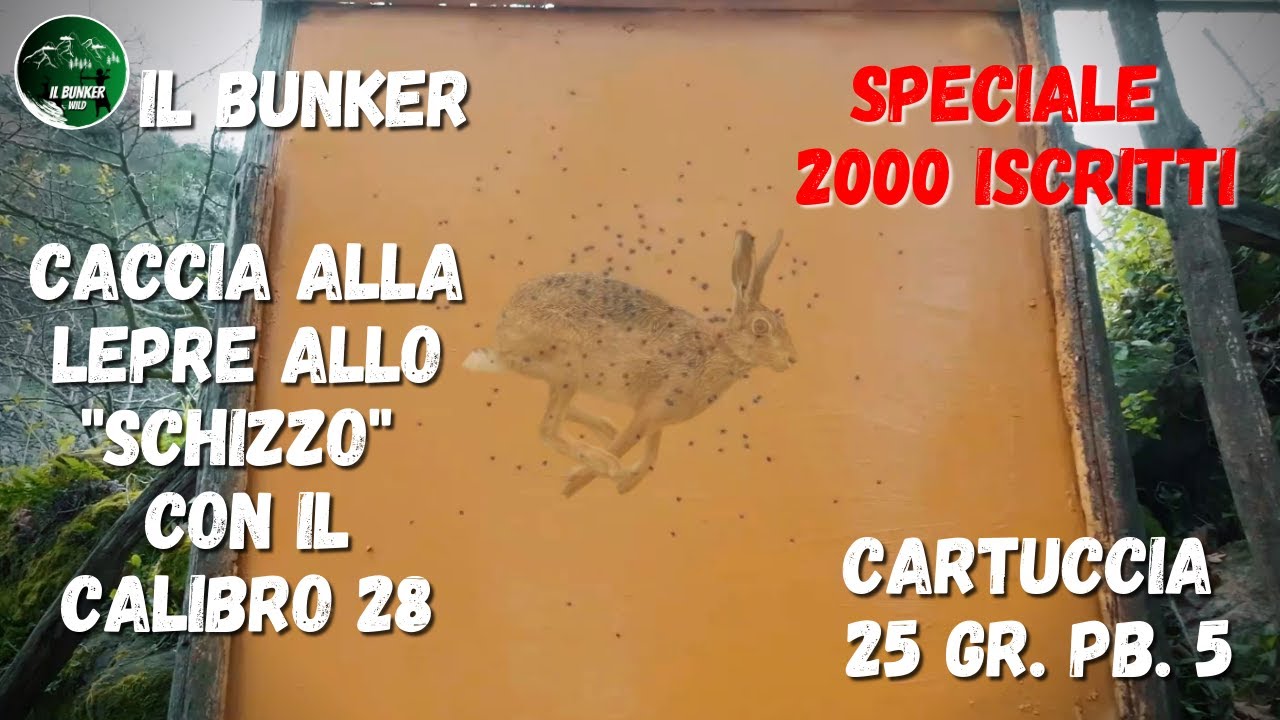 Cartuccia per caccia alla lepre allo 