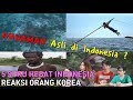 Hebat !! Suku Indonesia Unik ada Aquaman asli di Indonesia  - Reaksi Orang Korea