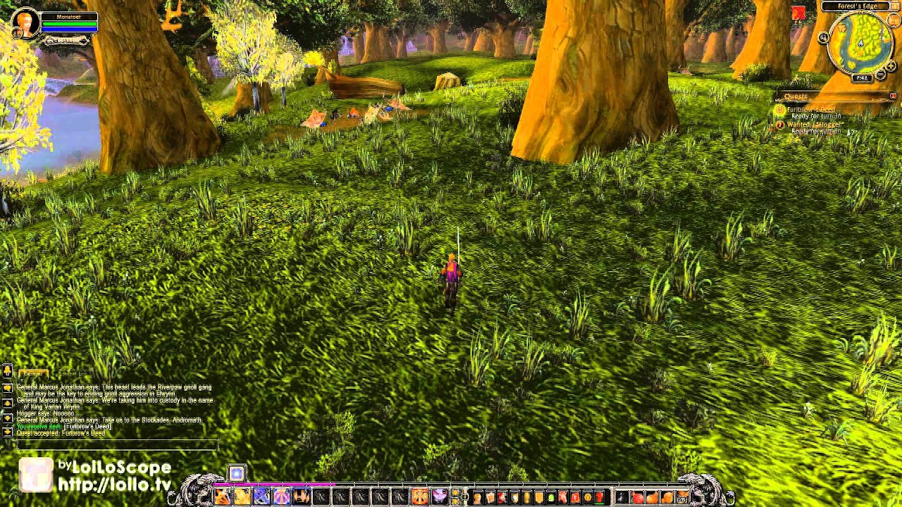 Quest 38: Wanted "Hogger" (WoW, human, paladin)