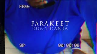 Diggy Danja-Parakeet(Prod. Smok3 Santana)