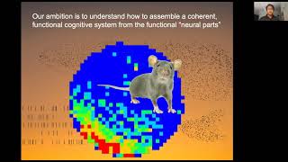 Celebrity The BRI Joint Seminar In Neuroscience - Andre Fenton, Ph.D. Profile