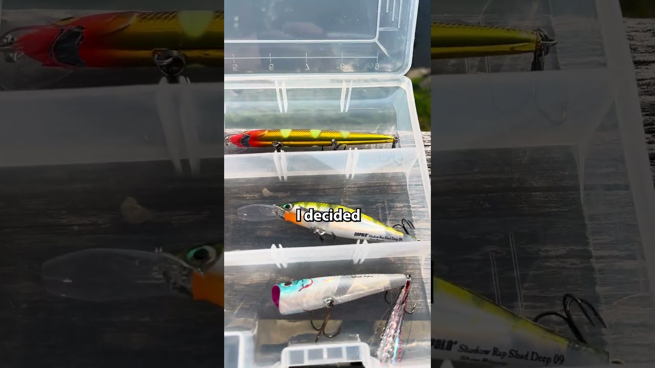 Building The Ultimate Starter Tackle Box 