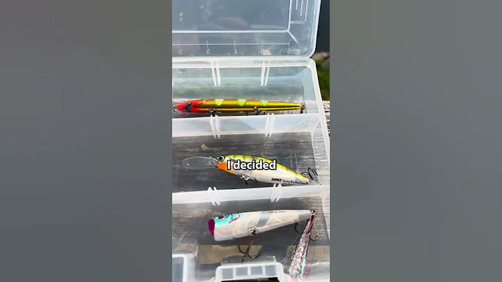 Building The Ultimate Starter Tackle Box 🎣
