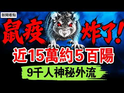 王滬寧李希停權？他在背後發力？黃奇帆落馬內幕，供出「驚天名單」；近15萬約5百陽，9千人神秘外流【新聞看點 李沐陽10.14】#新聞看點 #李沐陽