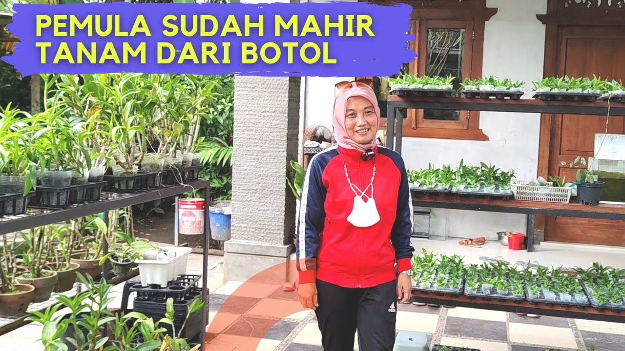 HAMA ANGGREK HILANG DENGAN BIAYA MURAH, INSPIRATIF.