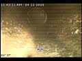 SeeSnake Video - 43448