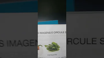 Por que que os seres vivos precisam se alimentar?