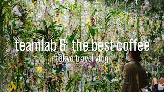 teamlab planets, the best coffee in japan, beef tongue yakiniku by lifenwhatnot  907 views 1 year ago 12 minutes, 19 seconds