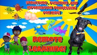 Life Science: Structure and Function For Kids! FREE printable activity|Learn With Diggy Dog!