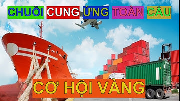 Việt Nam 2025: Cơ Hội Vàng Trong Chuỗi Cung Ứng Toàn Cầu
