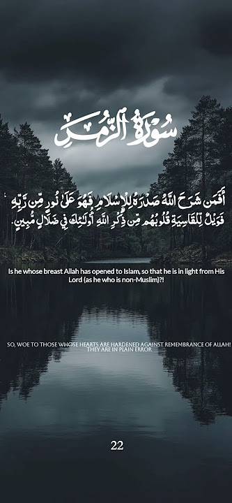 Quran For Sleep #quran#arabic #foryou#alquran