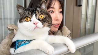 猫が生まれて初めて雪を見た結果…w