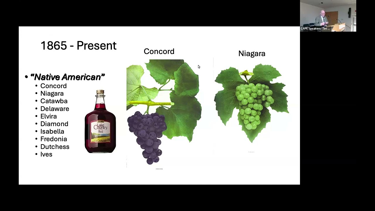 How winegrape varieties = a more sustainable wine industry- Bruce Reisch & Tim Martinson 12/12/2024