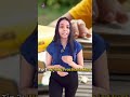 CA Exam Crack Kaise karen