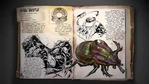 DIMETRODON AND DUNG BEETLE! Ark: Survival Evolved Spotlight