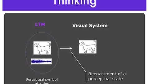Edouard Machery, "The Amodal Brain" #MindsOnline2017