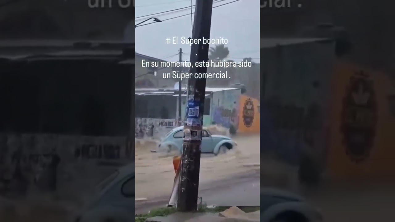 super vocho #español #automobile #brakesystem #humor #brakefluid #memes #shorts #short #viralshort