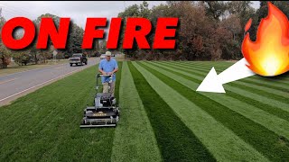 LAWN STRIPES that will BLIND you! REEL LOW / REEL MOWING