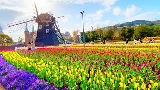 Huis Ten Bosch Japan Highlights Beautiful Tulips & Fireworks at Unusual Dutch Theme Park in Nagasaki