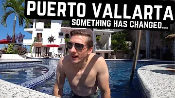 ¿Qué serpientes hay en Puerto Vallarta?