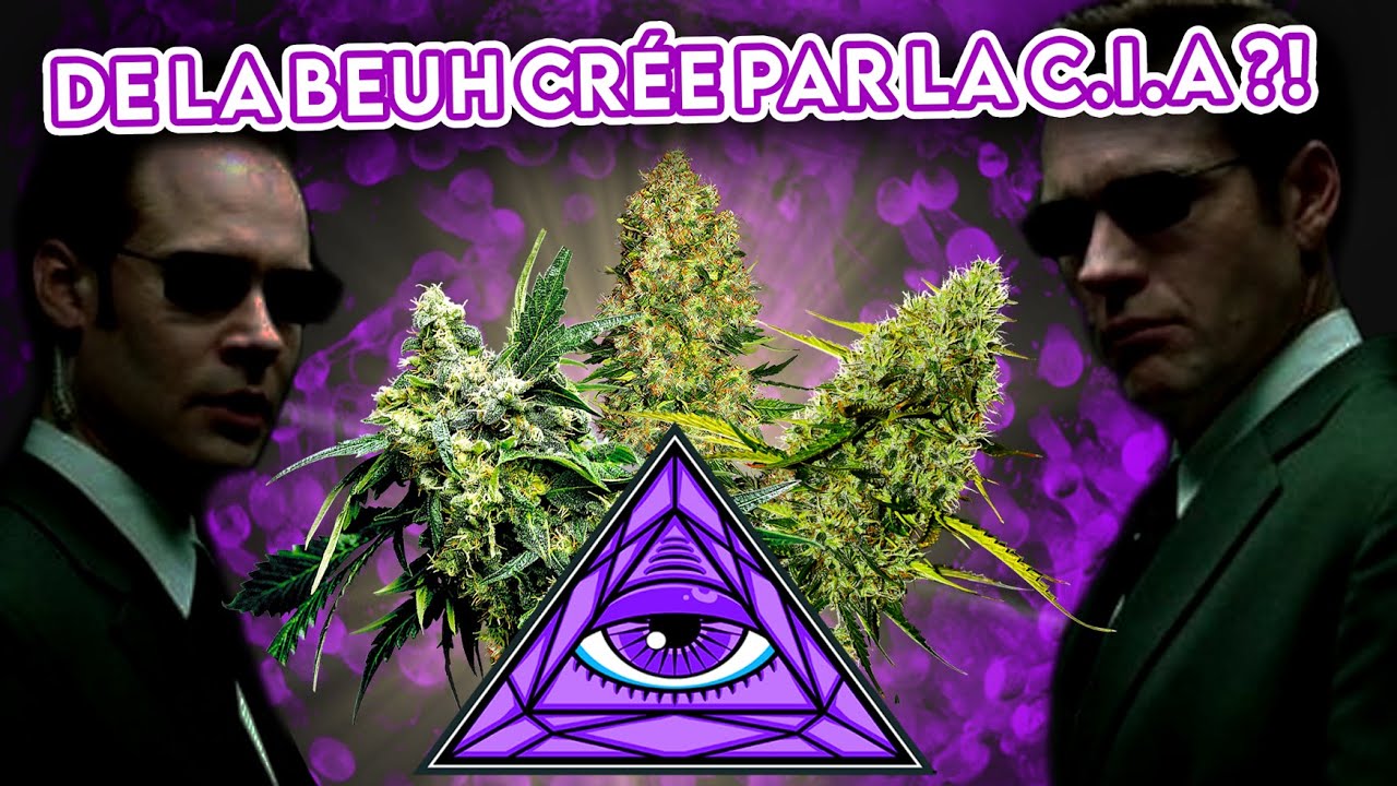 L'HISTOIRE DE LA G13 - STRAIN STORY #3