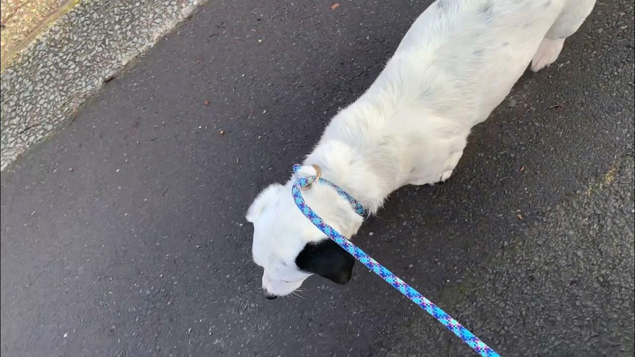 How to use a slip lead Correctly YouTube