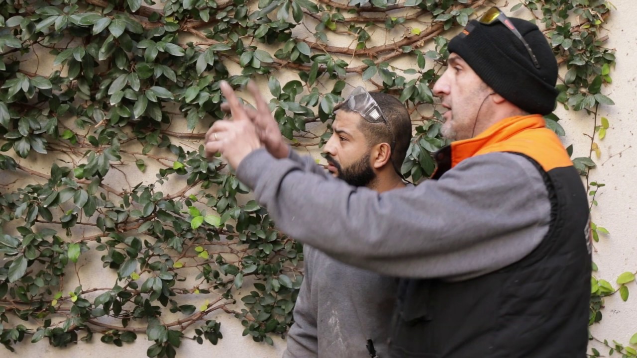 barcelona catalonia plaza hotel Rehabilitació entorn pati Picasso