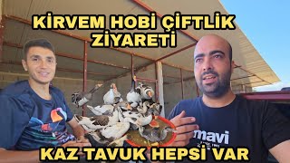 Kirvem Hobi Evi Çiftliğine Ziyaret Ettik Kazlar Tavuklar Ve Daha Fazlasi