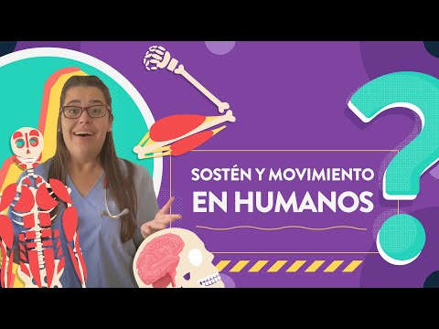 Video: Movimiento Delicado