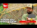 Tour du potager  mai 2024 saison 3 potager permaculture jardin semis autonomiealimentaire