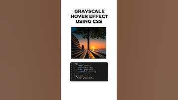 grayscale hover effect using css | #shorts #short