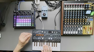 #Jamuary2022 Day 9: hypnotic techno jam with Circuit and MicroFreak