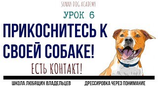 Упражнение на внимание собаки к хозяину. Марафон по дрессировке Упражнение на внимание собаки к хозяину. Марафон по дрессировке