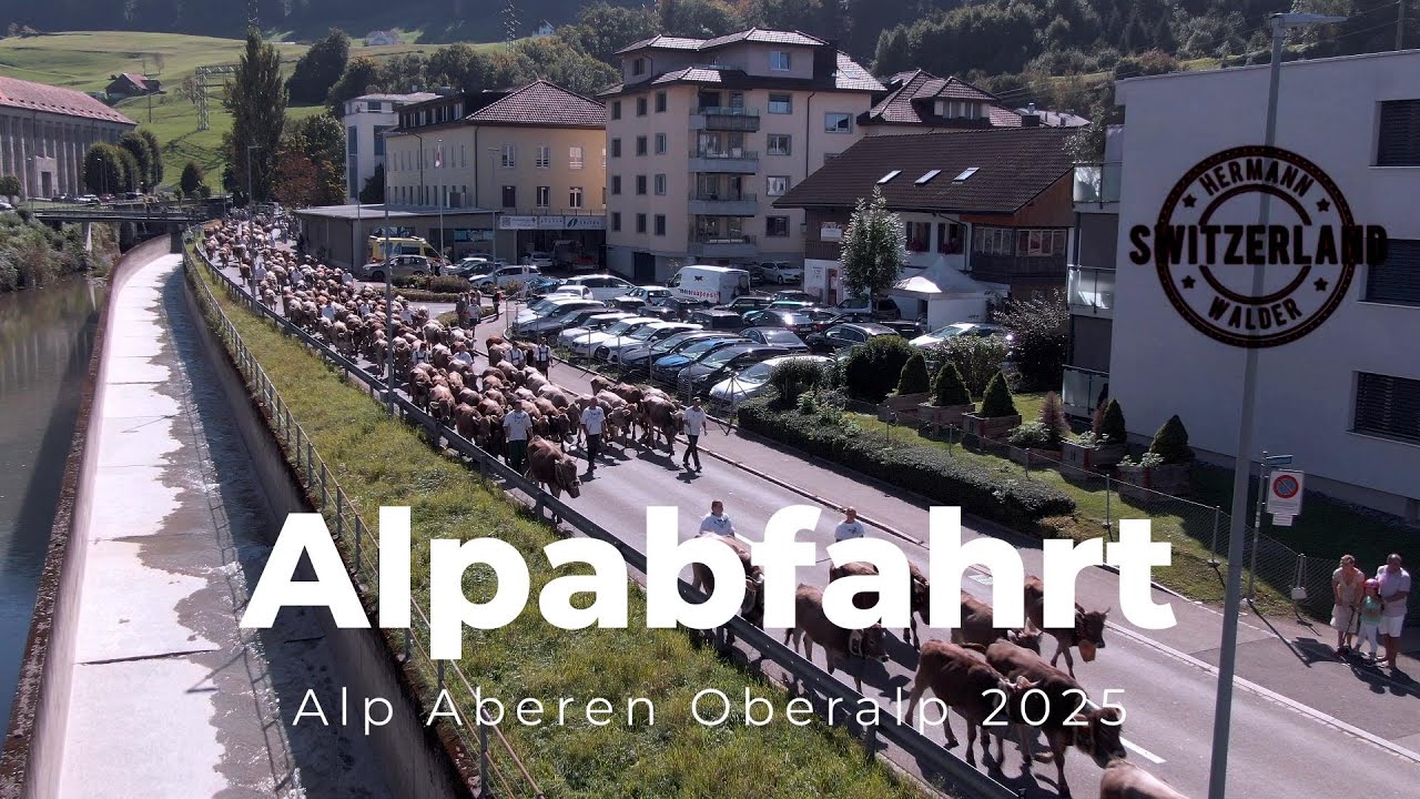 4K// Die Alpabfahrt Aberen 2025 – Tradition, Freude & gelebtes Brauchtum