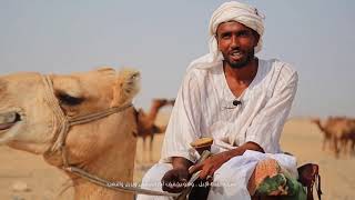 فيلم وثائقي - مغتربون في الصحراء - فائز بجائزة أفرابيا