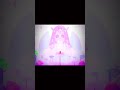 eternal sugar is my new #2 fav | #shorts #cookierunkingdom #cookierun #eternalsugar #edit |