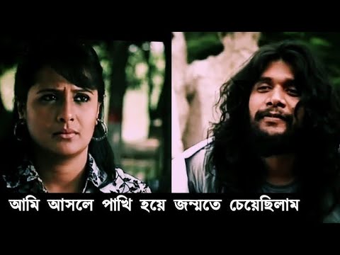 ভিডিও: একটি শহর কি উজ্জ্বল?