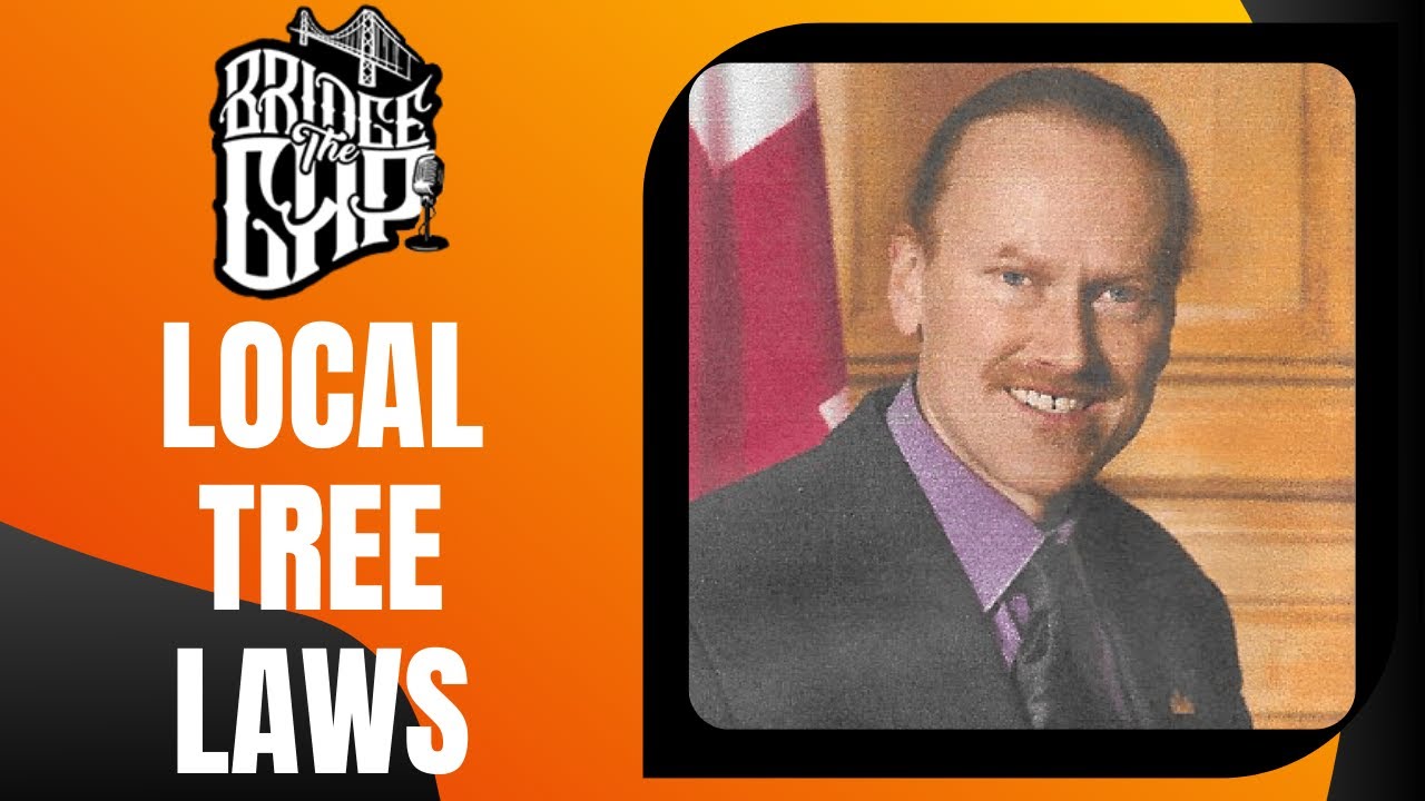 WHAT ISSUES ARE PETER MCQUEEN'S TOP PRIORITIES FOR CDN-NDG?