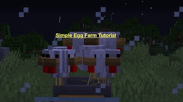 Auto Egg Farm Tutorial | Minecraft 1.16.2 +