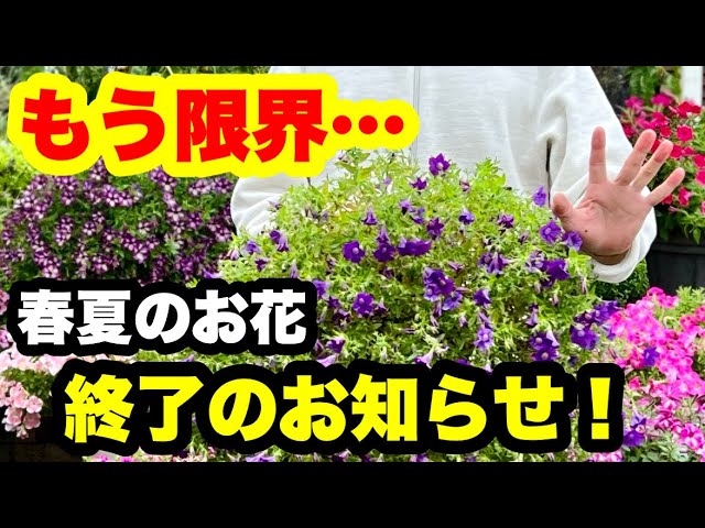 ◇[Finally reaching our limit] Spring/Summer Flowers Completion