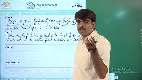 07 08 2020 TS SCIENCE CLASS 4 REVISION ASSIGNMENT 2 VIDEO